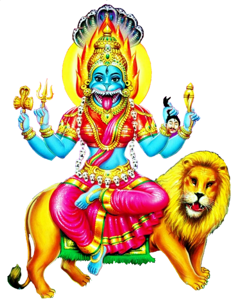 Vipreet Pratiyangira Mantra Sadhna & Homam